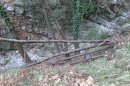 Forêt de Breil au collet d'Aïné
